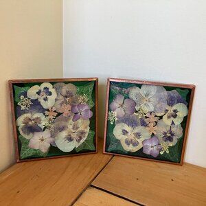 Pressed Flower Glass Coasters Set of 2 Vintage Vancouver Island Pansy Floral